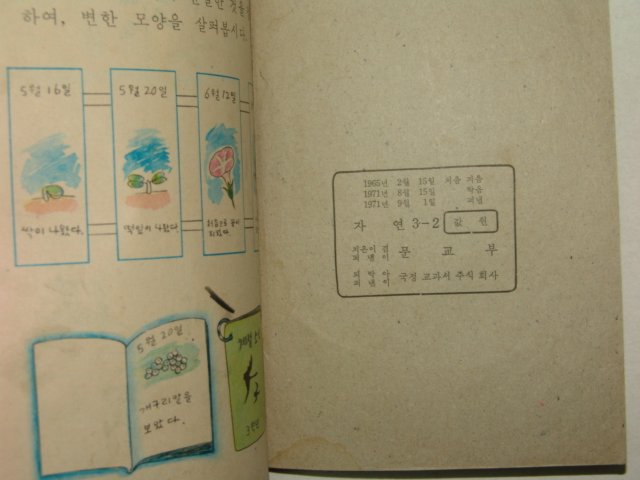 1971년 자연 3-2