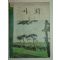1971년 사회 4-1