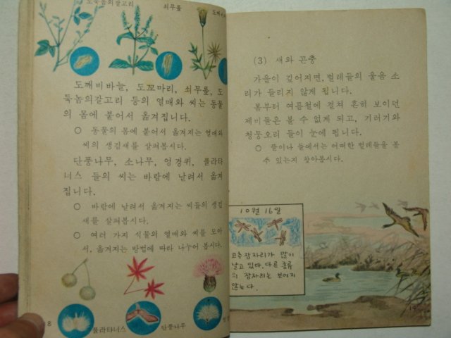 1970년 자연 3-2