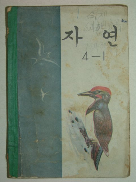 1971년 자연 4-1