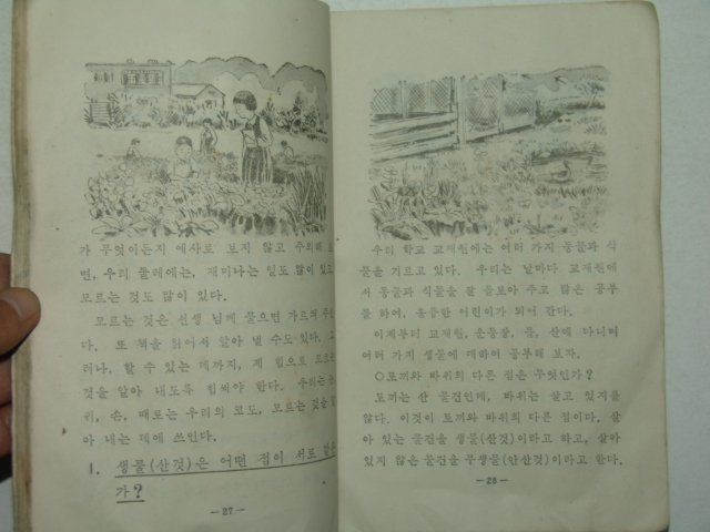 1955년 자연 4-1