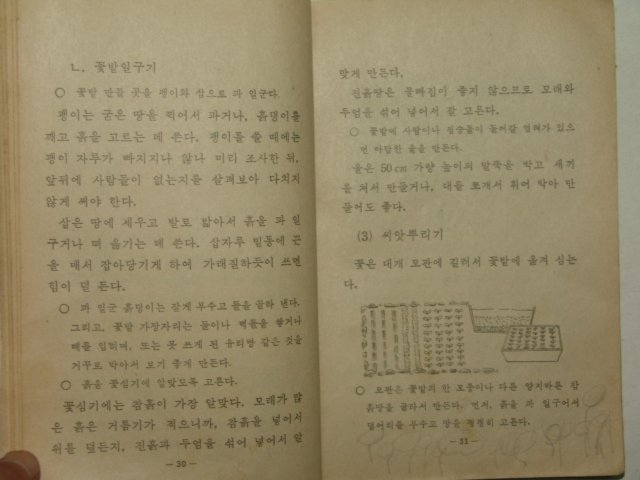 1971년 실과 4