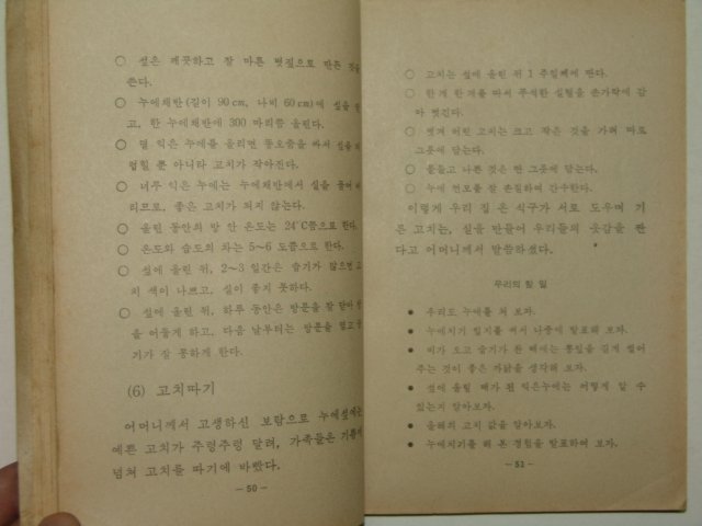 1972년 실과 5