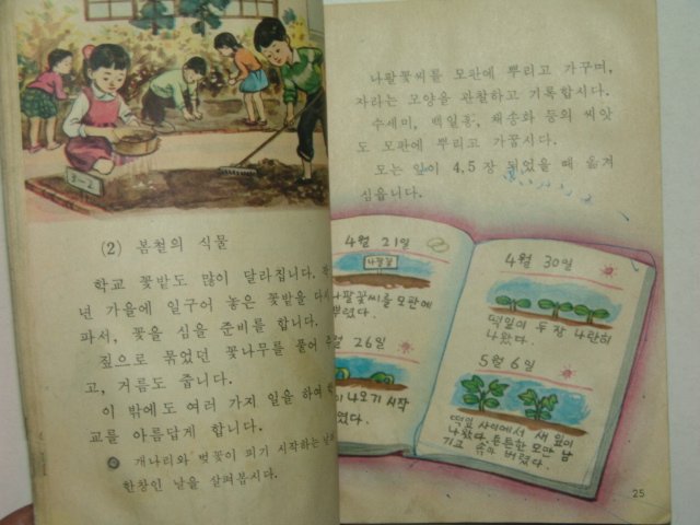 1968년 자연 3-1