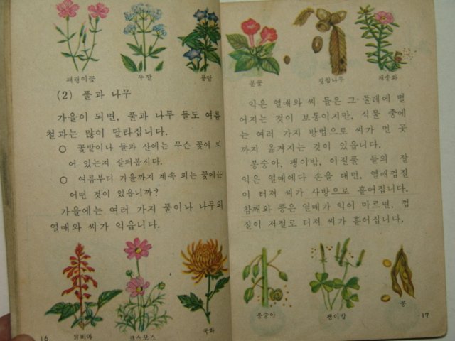 1967년 자연 3-2