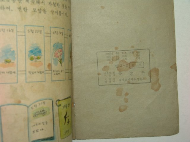 1967년 자연 3-2