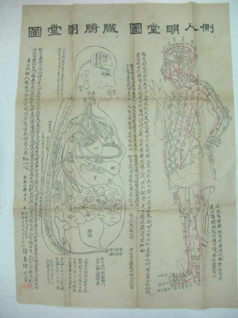 중국간행본 인체도판2장 교정도주잡경(校正圖註雜經)5책완질