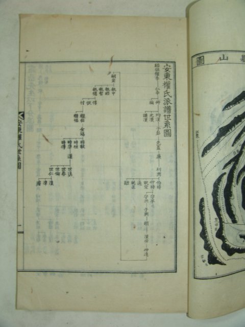 석판본 안동권씨세계도(安東權氏世系圖) 1책완질