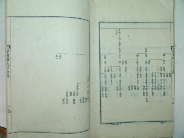 석판본 안동권씨세계도(安東權氏世系圖) 1책완질