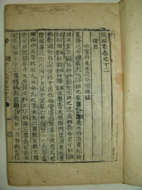 1896년 활자본 박치복(朴致馥) 만성집(晩醒集) 3책