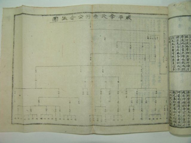 1955년 석판본 함평이씨참판공파보(咸平李氏參判公派譜) 4책