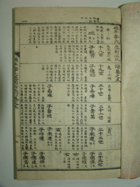 1955년 석판본 함평이씨참판공파보(咸平李氏參判公派譜) 4책