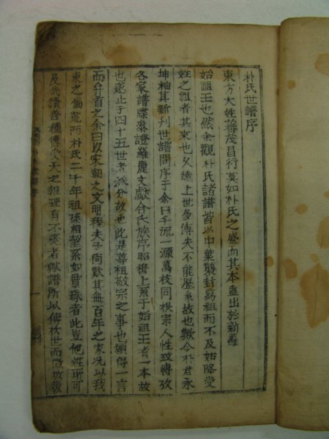 1899년 목활자본 박씨신라선원계보 2권2책완질