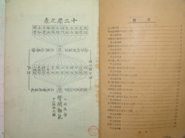 1956년 교정십혈경락도보 1책완질