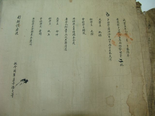 밀양,창원 호구단자 11장