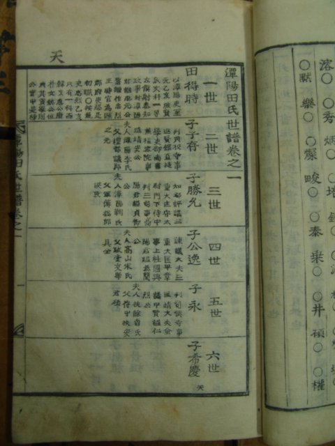1857년 목활자본 丁巳譜 담양전씨세보(潭陽田氏世譜)14책완질