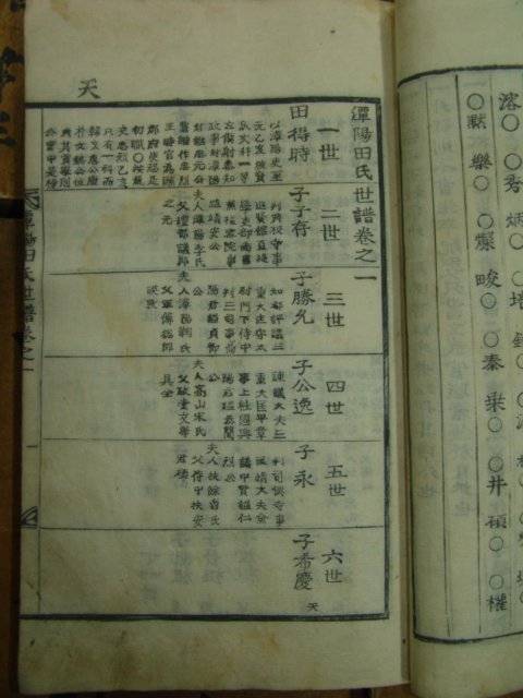 1857년 목활자본 丁巳譜 담양전씨세보(潭陽田氏世譜)14책완질