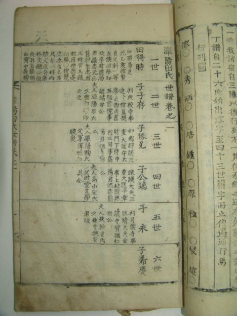 1897년 목활자본 정유보 담양전씨세보(潭陽田氏世譜)3책완질