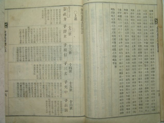 1927년 의령刊 김해김씨세보(金海金氏世譜) 16책