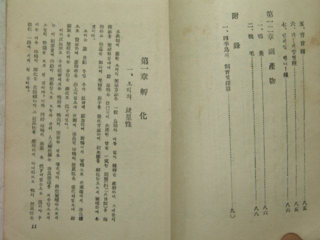 1953년 양압연구(養鴨硏究)