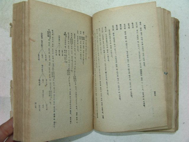 1946년 김윤경(金允經) 조선문자급어학사(朝鮮文字及語學史)