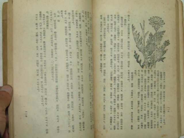 1959년 약용식물재배법(藥用植物栽培法) 1책완질