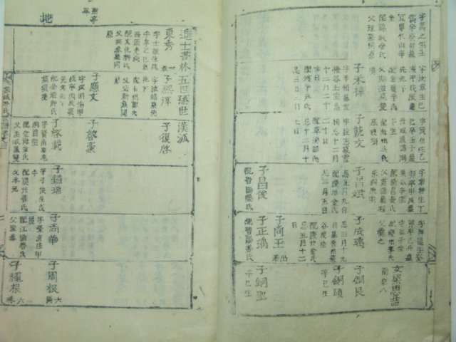 목활자본 밀성박씨세보(密城朴氏世譜)권3 1책