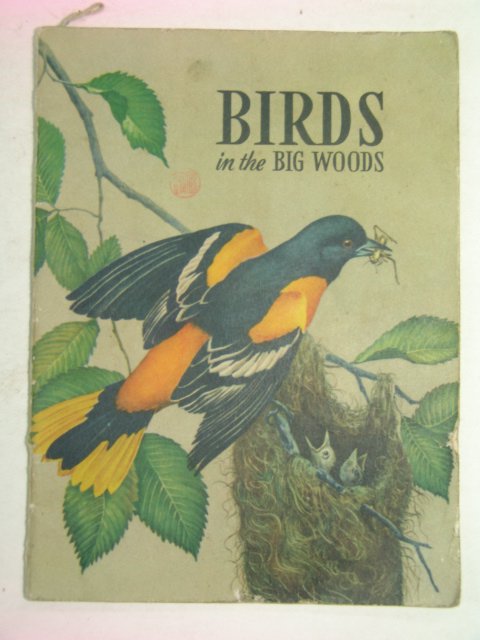 1947년 미국刊 BIRDS in the BIG WOODS