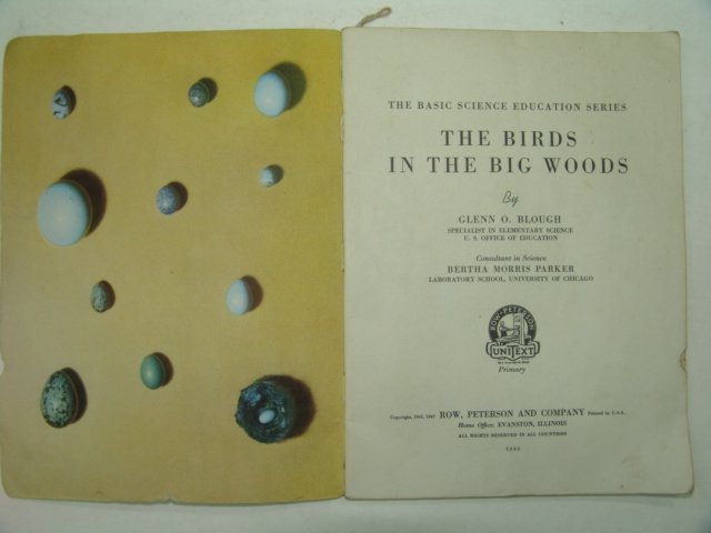 1947년 미국刊 BIRDS in the BIG WOODS