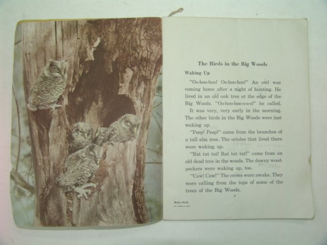 1947년 미국刊 BIRDS in the BIG WOODS