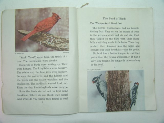 1947년 미국刊 BIRDS in the BIG WOODS