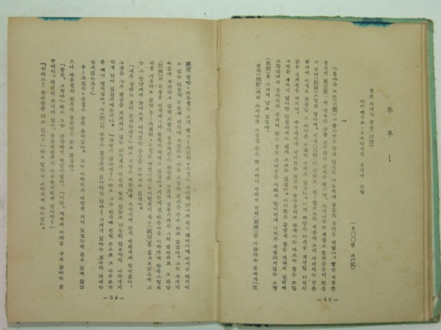 1955년 청춘시대