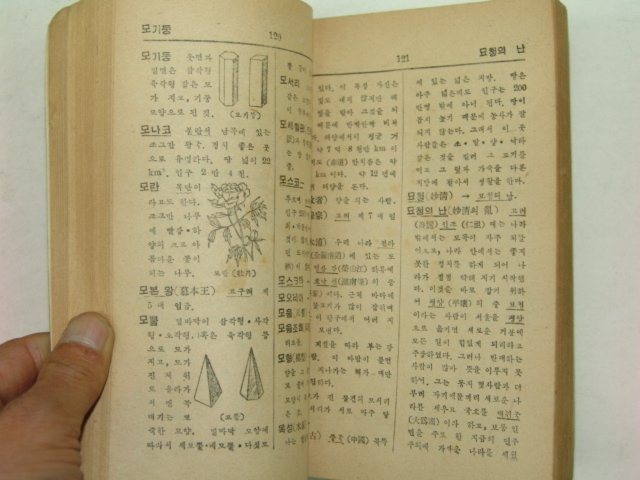 1952년 소년 백과사전