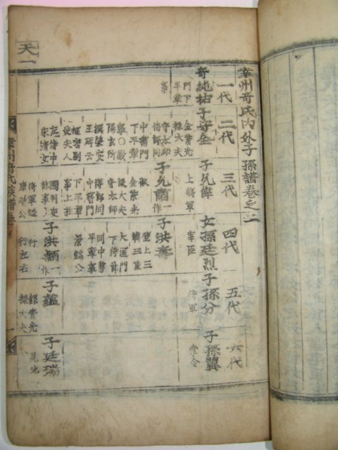 목판본 행주기씨족보(幸州奇氏族譜) 2책완질