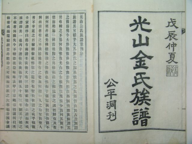 1928년 광산김씨족보(光山金氏族譜) 10책완질