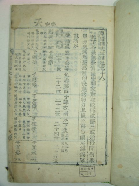 1900년 의령刊 담양전씨세보(潭陽田氏世譜)권18終 1책