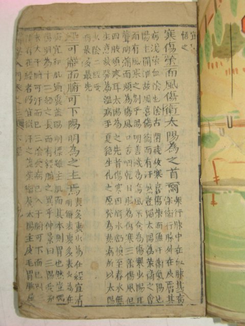 중국목판본 의학입문(醫學入門) 3책