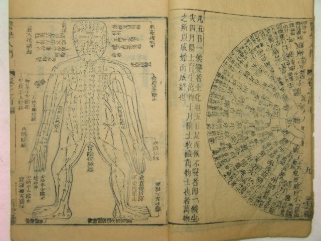 1892년(光緖壬辰)목판본 의학입문(醫學入門) 1책