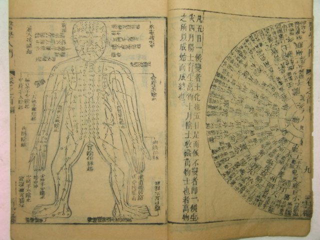 1892년(光緖壬辰)목판본 의학입문(醫學入門) 1책