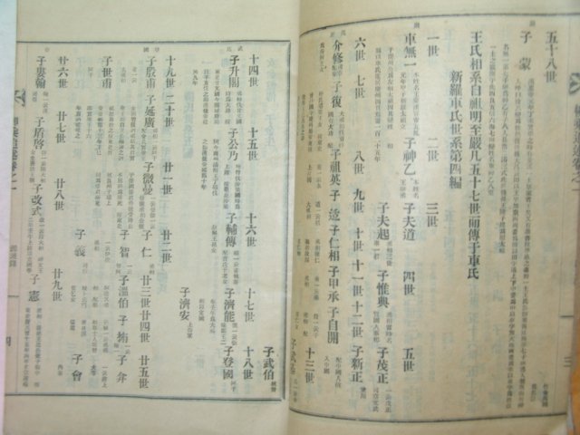 1925년간행 류승추술(柳乘追述) 1책완질