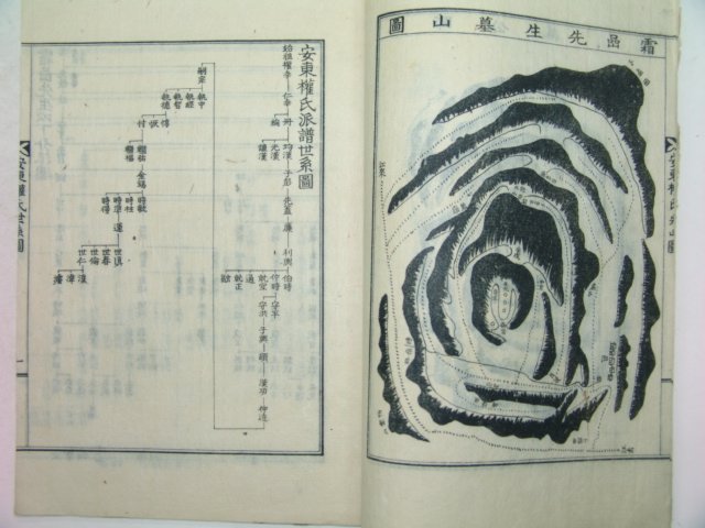 석판본 안동권씨세계도(安東權氏世系圖) 1책완질