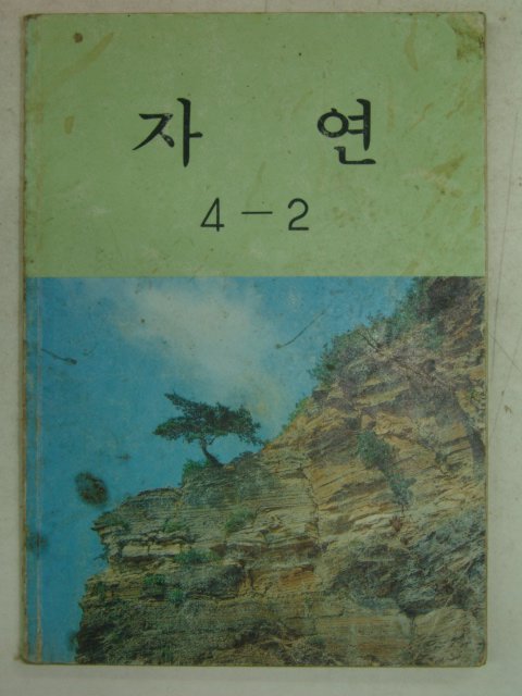 1991년 자연 4-2