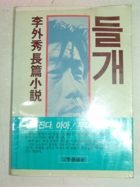 1977년 이외수(李外秀)소설 들개