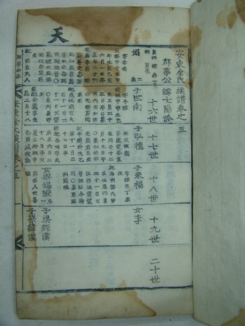 목활자본 안동김씨족보(安東金氏族譜) 6책