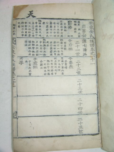 목활자본 안동김씨족보(安東金氏族譜) 6책