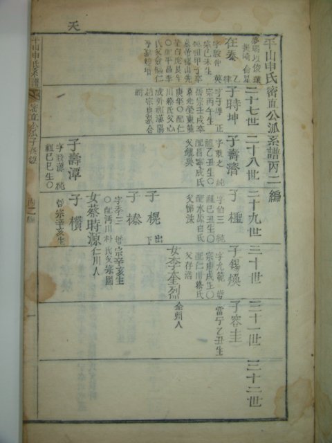 목활자본 평산신씨문희공파계보(平山申氏文僖公派系譜)13책