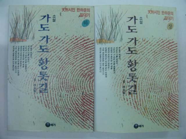 1993년 김선 소설 가도가도 황톳길 2책완질