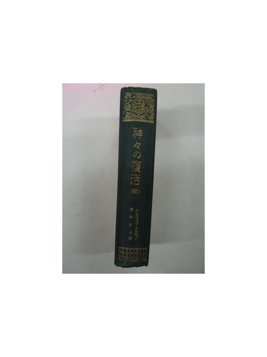 1921년 요네가와 米川正夫 譯 신의부활 고서적 옛날물건