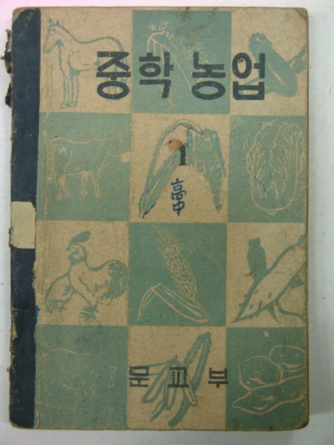 1955년 중학농업