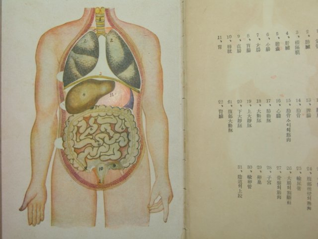 1924년 의서 연년익수(延年益壽) 1책완질